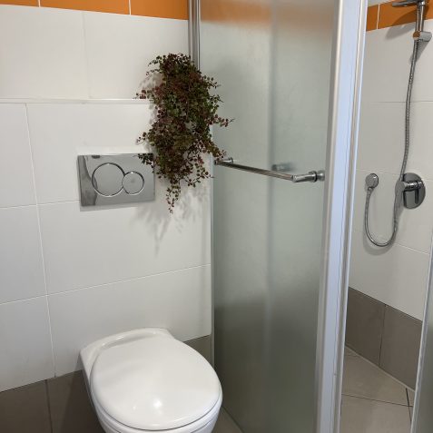 מקלחון + שירותים