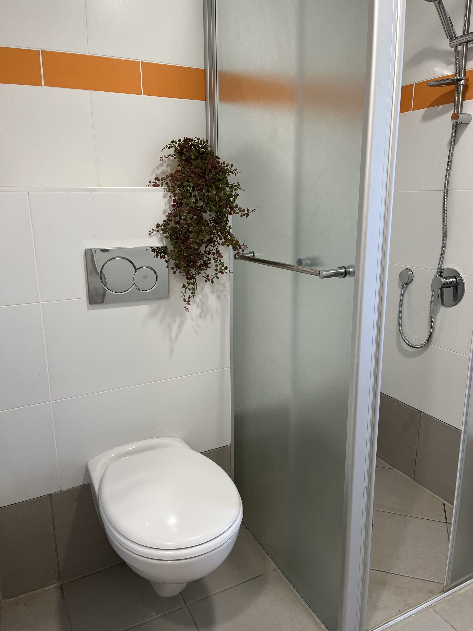 מקלחון + שירותים