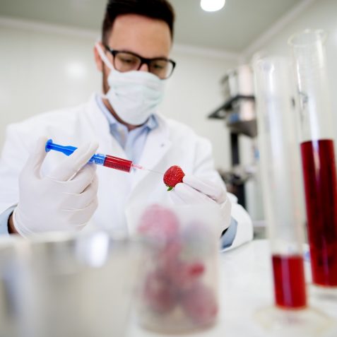 Doctor doing GMO experiments in laboratory. Injecting chemical s